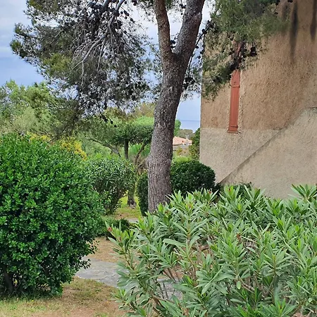T1 Proche Lumio (Corsica)