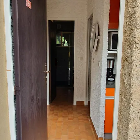 T1 Proche * Lumio (Corsica)